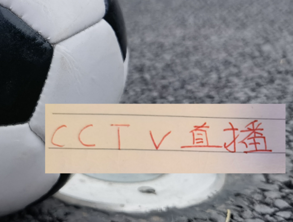 开云体育入口-喜讯!海港的比赛有CCTV直播 再加上加布里回春 上海德比能稳吗